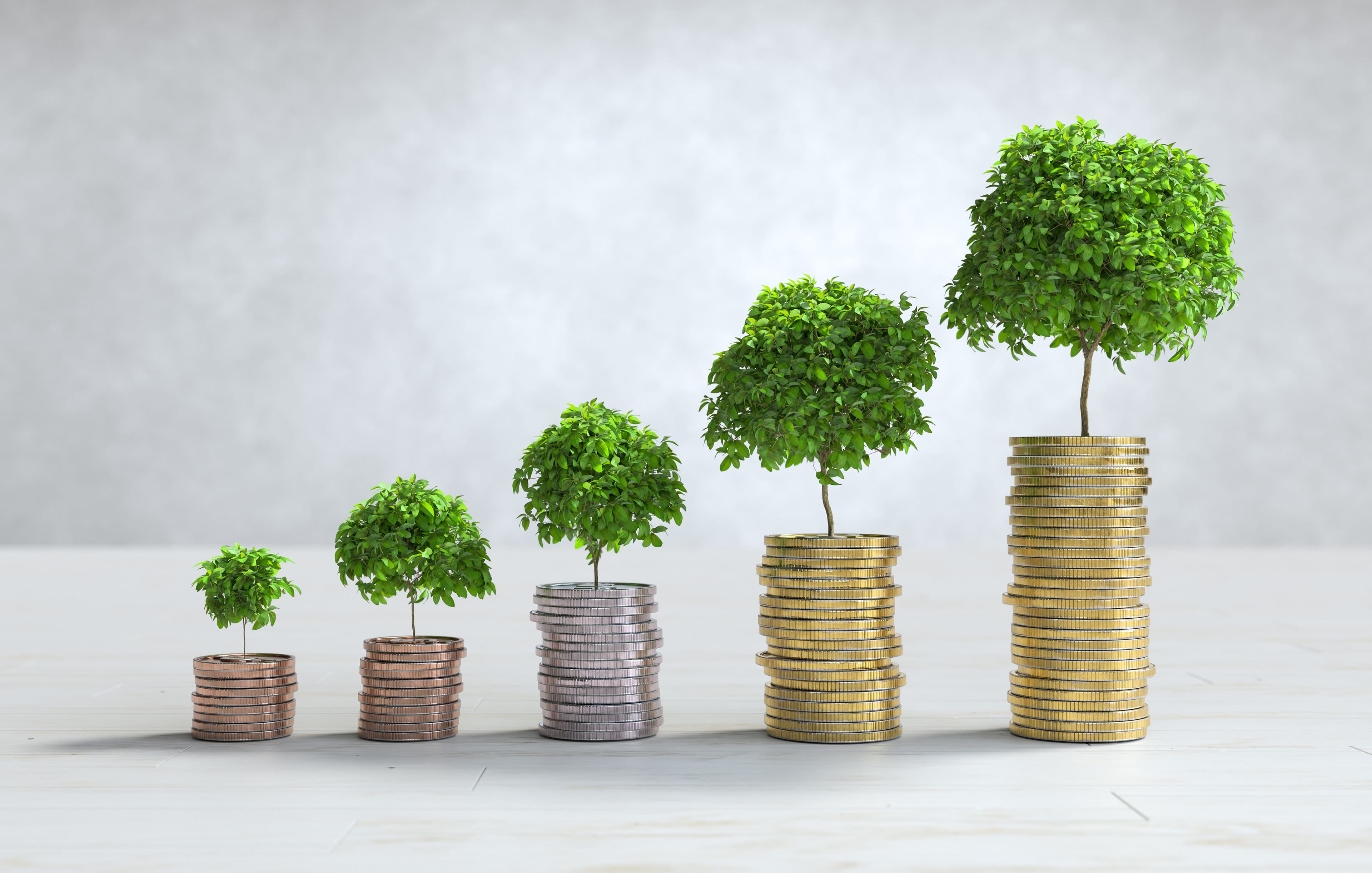 Reliable Financial Services for All Business Sizes